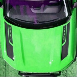 Vinyl Hood Accents stripes graphics for Ford Bronco Sport