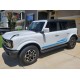 Ford bronco mountain and trees vinyl decal stripe