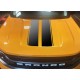 Vinyl Hood Accents stripes graphics for Ford Bronco Sport - V8