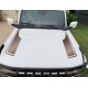 Hood vinyl stripes for Ford Bronco