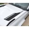 Hood accent stripes decal sticker for 6G Ford Bronco - v1
