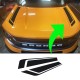 Vinyl Hood Accents stripe graphics for Ford Bronco Sport - V3