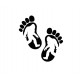Ford Bronco Big Foot Sasquatch foot prints