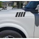 Fender Accent stripes vinyl Overlay for Ford Bronco 6G