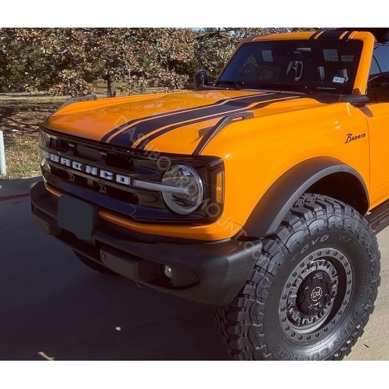 14" Body Vinyl stripe kit for Ford Bronco