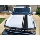 14" Body Vinyl stripe kit for Ford Bronco