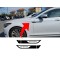 Hyundai Genesis fender accent