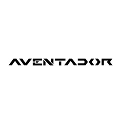 Aventador decal