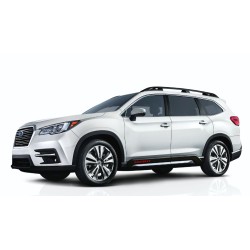 Ascent Door Decals (Subaru)