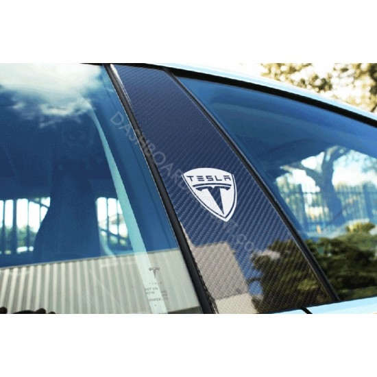 TESLA pillar logo 2