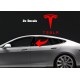 TESLA pillar logo