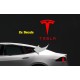 TESLA pillar logo