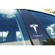 TESLA pillar logo