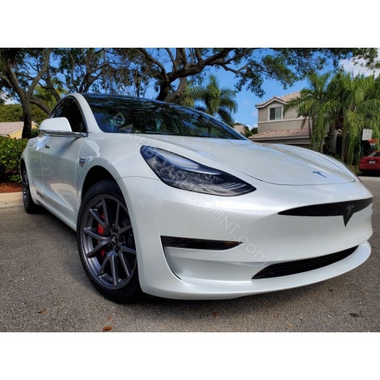 Tesla Model 3 Model Y bumper grille decal - 1A