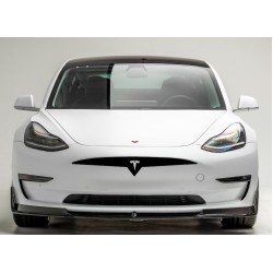 Tesla Model 3 Model Y bumper grille decal - 1A