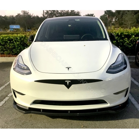 Tesla Model 3 Model Y bumper grille decal - 1A