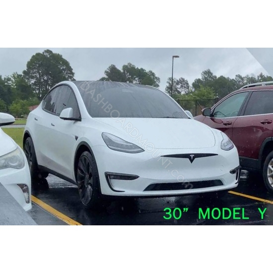 Tesla Model 3 Model Y bumper grille decal - 1A