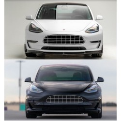 Tesla Model 3 Model Y bumper grille decal (AstonMartin Style)