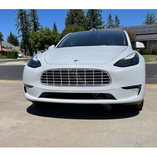 Tesla Model 3 Model Y bumper grille decal (AstonMartin Style)