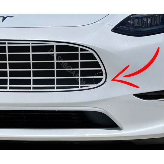 Tesla Model 3 Model Y bumper grille decal (AstonMartin Style)