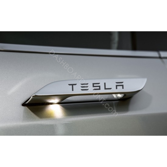 Model S Door Handles overlay