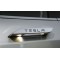 Model S Door Handles overlay