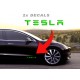 2pcs TESLA door panel Decals