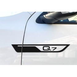 Audi Door Wings