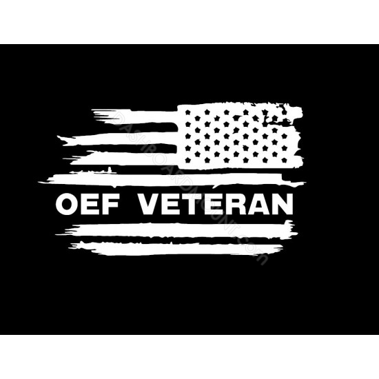 OEF Veteran US Flag 1