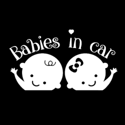 Twins on Board